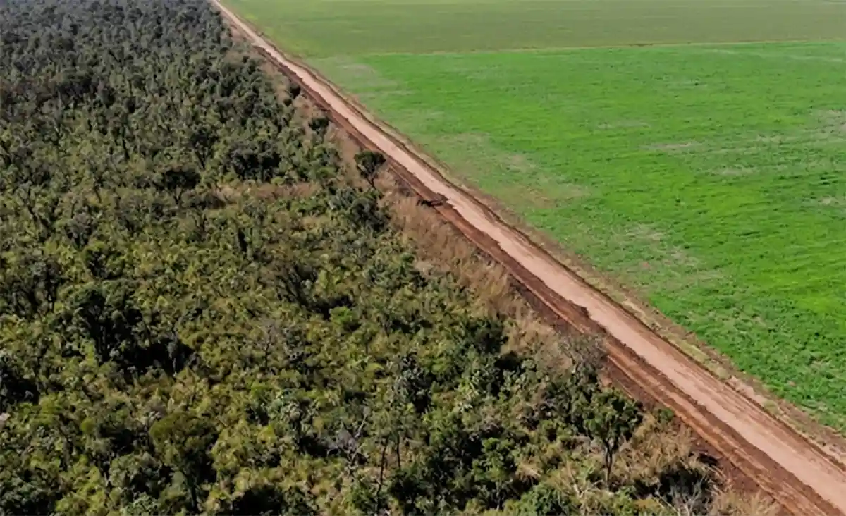 O fim da Moratória da Soja e o risco de um novo ciclo de destruição na Amazônia