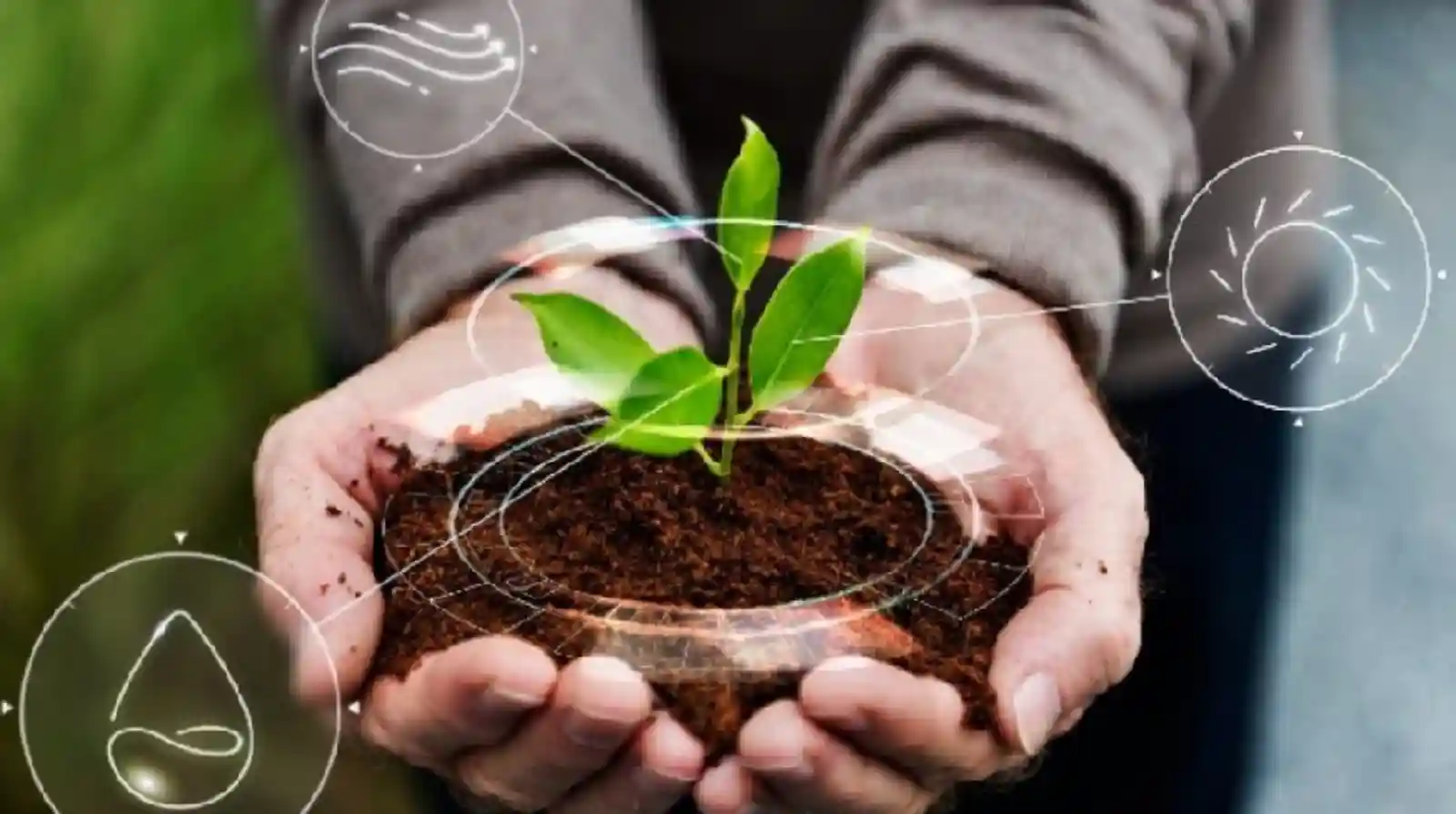 Saiba como a conversão de resíduos agrícolas em matérias primas sustentáveis impulsiona a economia circular e a bioeconomia brasileira