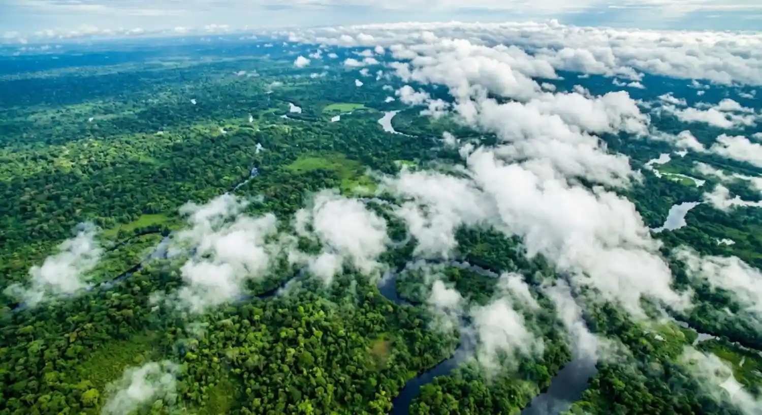 Vista aérea da floresta amazônica com nuvens baixas formando sobre o dossel — fotografia satelital estilizada tons verdes intensos e nuvens brancas volumosas